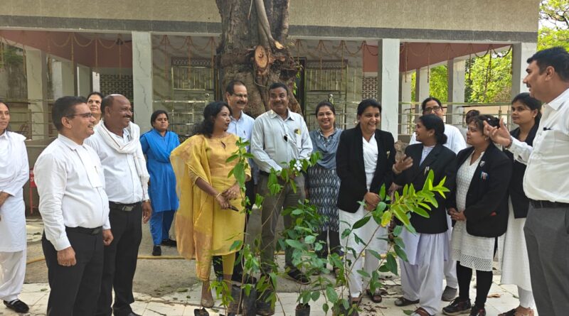 विश्व पर्यावरण दिवस पर जिला अधिवक्ता संघ कोरबा द्वारा पौधारोपण एवं खिचड़ी भोग वितरण कार्यक्रम का आयोजन