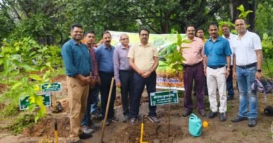 एचटीपीएस में सेवा संकल्प अभियान, कार्यपालक निदेशक एच.के. सिंह ने लगाया साल का पौधा