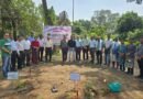 सेवा संकल्प अभियान के तहत डीएसपीएमटीपीएस में लगाए गए औषधीय पौधे