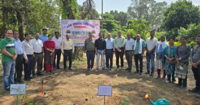 सेवा संकल्प अभियान के तहत डीएसपीएमटीपीएस में लगाए गए औषधीय पौधे